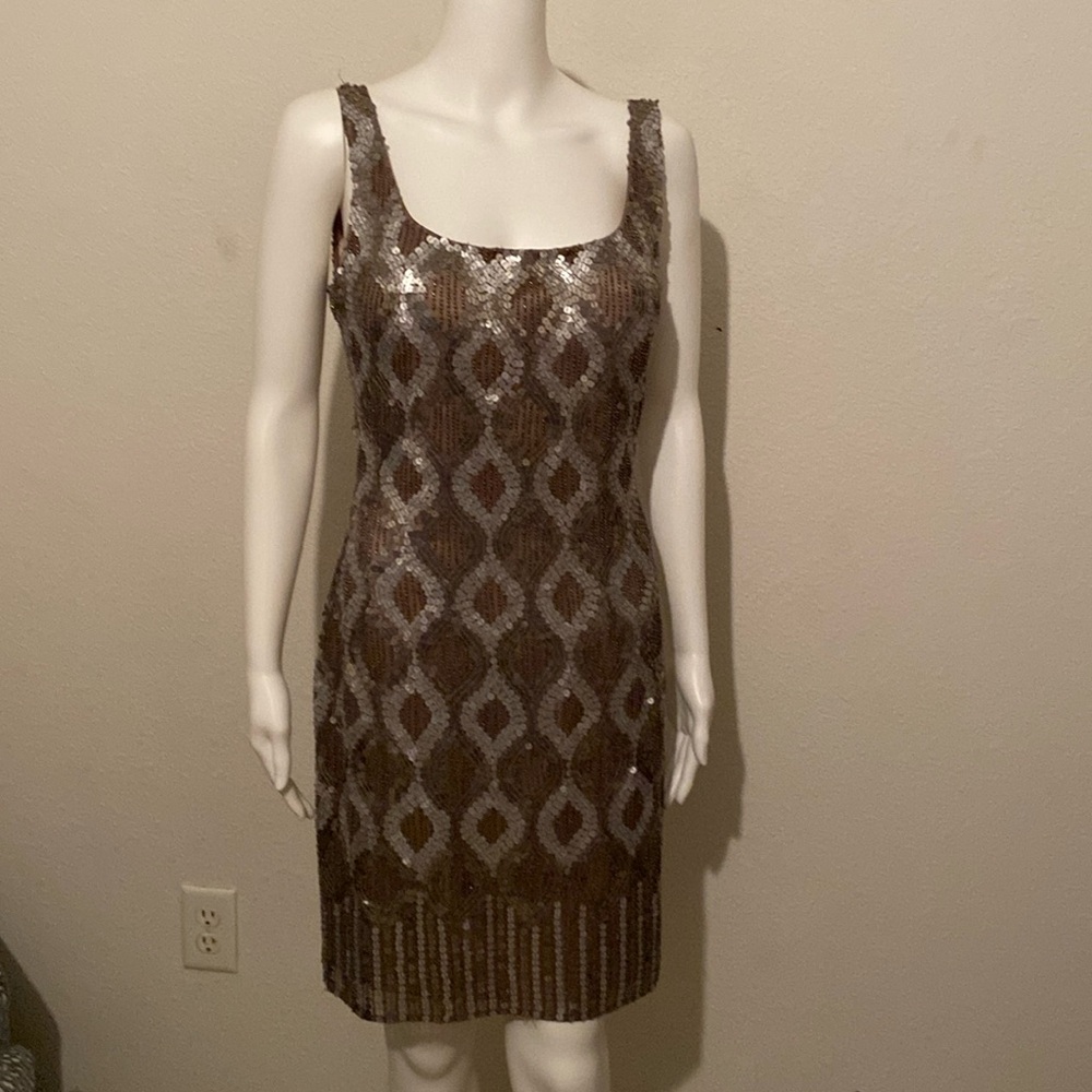 Sequined dress, purchased online posh, never wore